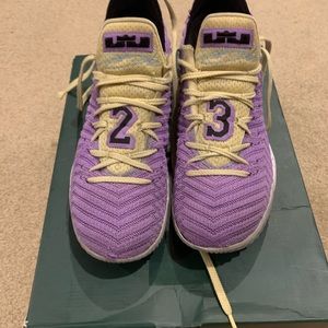 Lebrons Lakers Championships